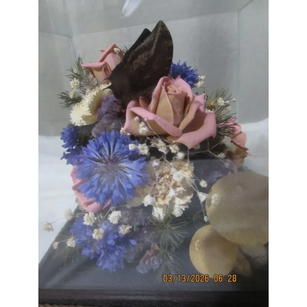 Vintage dried flower arrangement in glass with wood base butterfly mushrooms